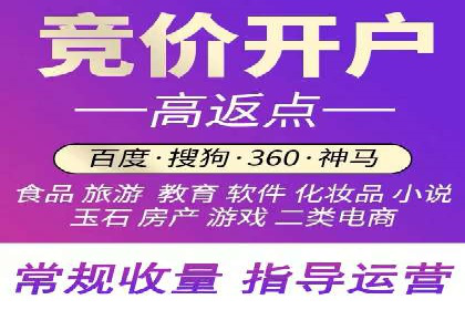 竞价广告的投放策略与网络推广的实践案例
